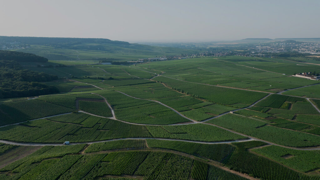 Terroirs Hautvillers V2
