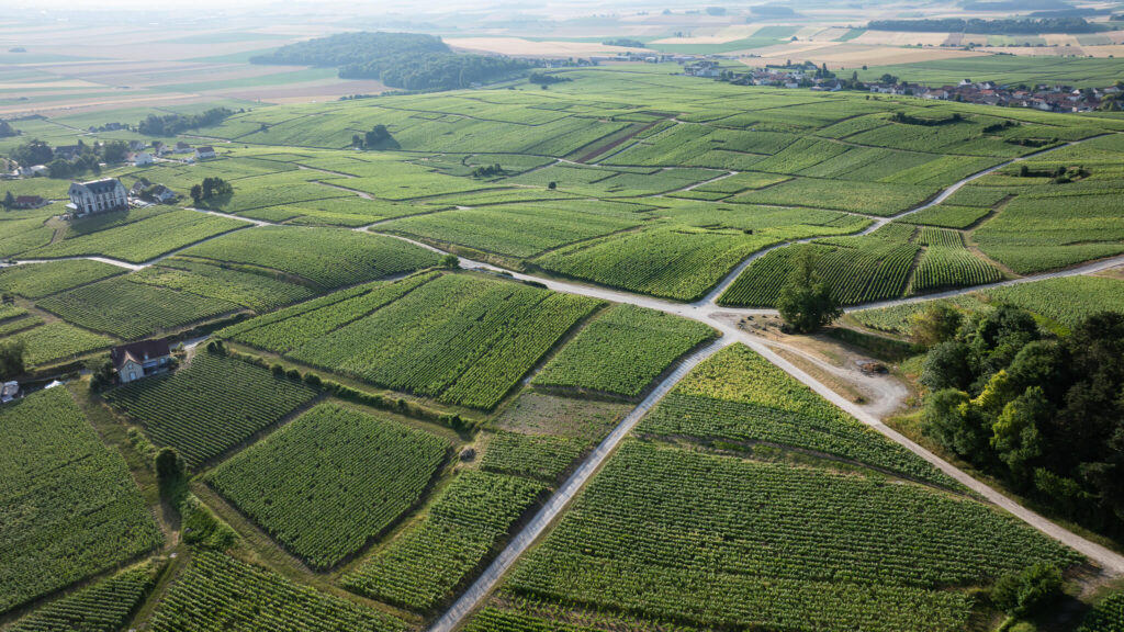 Terroirs Sacy 1