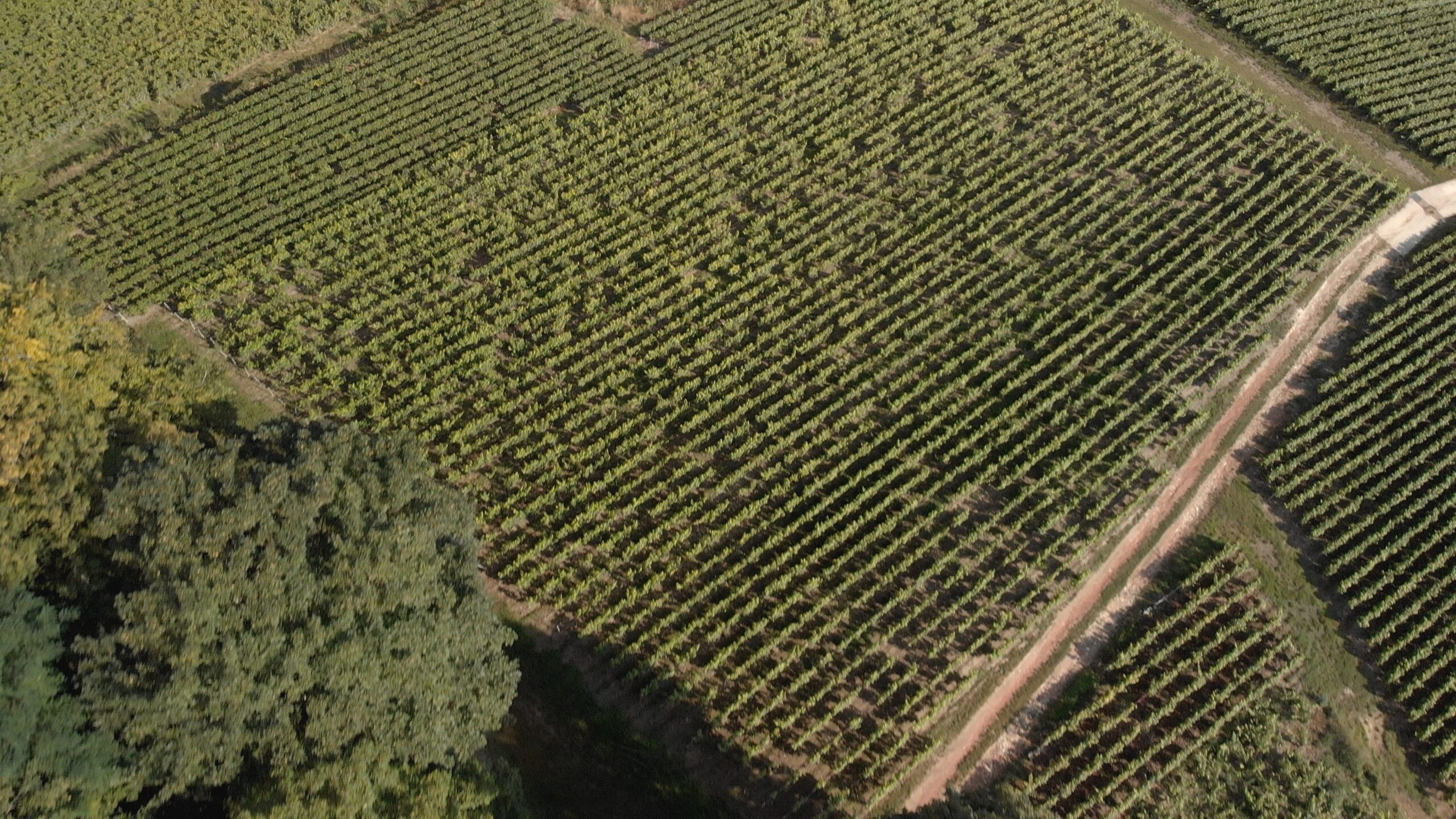 Test Drone m4v image scaled 1